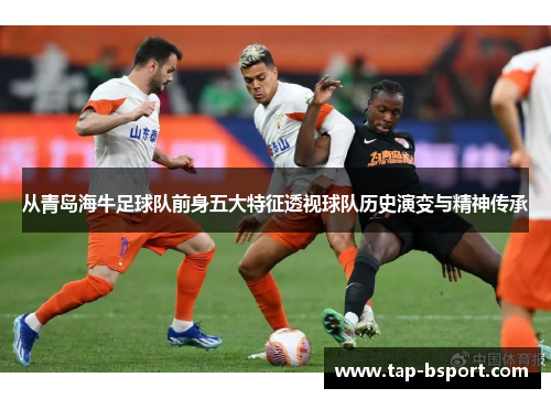 从青岛海牛足球队前身五大特征透视球队历史演变与精神传承