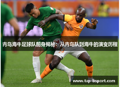 青岛海牛足球队前身揭秘：从青岛队到海牛的演变历程