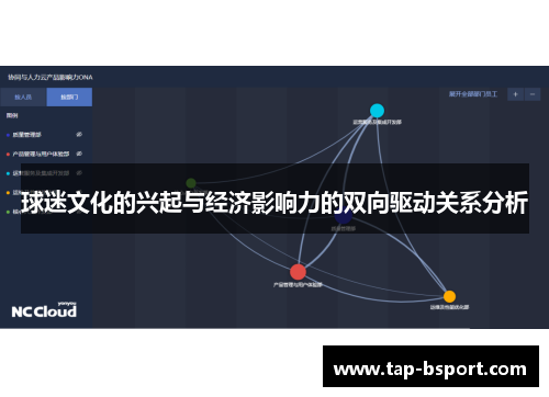 球迷文化的兴起与经济影响力的双向驱动关系分析 球迷文化的兴起与经济影响力的双向驱动关系分析