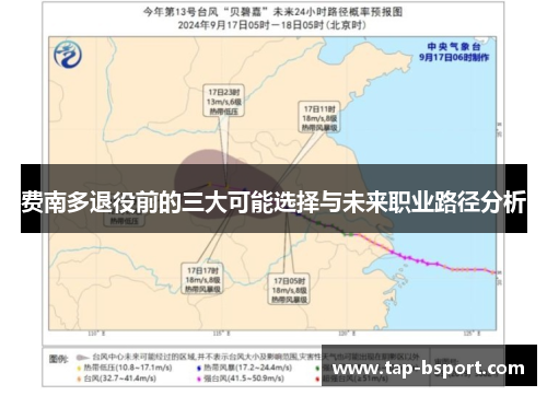 费南多退役前的三大可能选择与未来职业路径分析