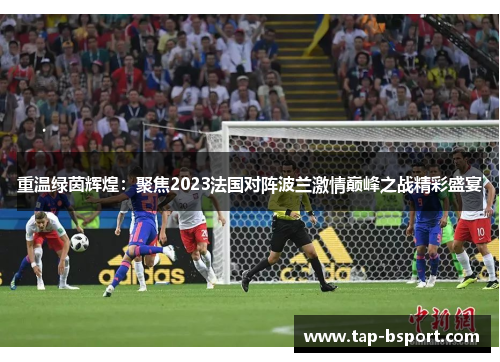 重温绿茵辉煌：聚焦2023法国对阵波兰激情巅峰之战精彩盛宴