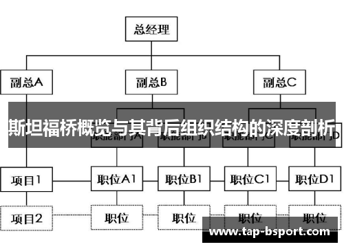 斯坦福桥概览与其背后组织结构的深度剖析