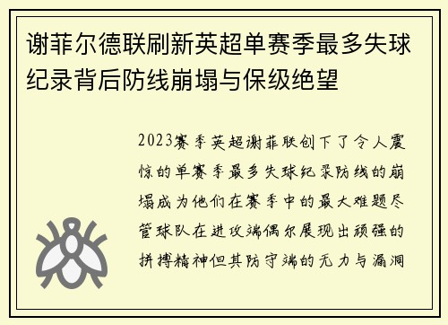 谢菲尔德联刷新英超单赛季最多失球纪录背后防线崩塌与保级绝望 谢菲尔德联刷新英超单赛季最多失球纪录背后防线崩塌与保级绝望